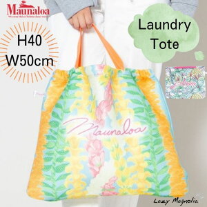 y Maunaloa z h[obO nCA bV t@Xi[ 􂦂 傫