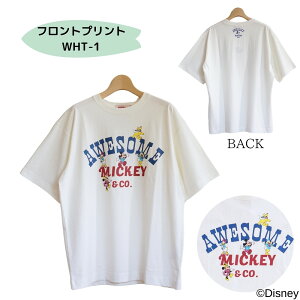 Disney / ANTIBAL R{ fBYj[ ~bL[ TVc fB[X  傫TCY T[t tY M L