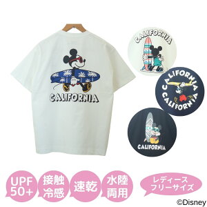 Disney / ANTIBAL ~bL[ tVc fB[X hC  UVJbg t[TCY