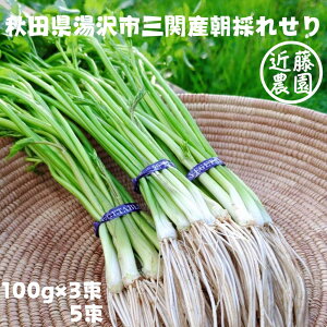 yz   ̂  Z Hc O Yn    t    ڂ  Ȃ In 300g 500g