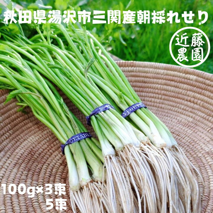 楽天市場】せり 朝採れ 三関産 露地 300g 500g セリ 秋田 三関 芹 根 