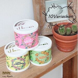 F   u^ [ rO  ʏ gC   HAWAII nC nCAG 500~ ȉ v`Mtg v[g Kahiko JqR GEL tOX zCgXN