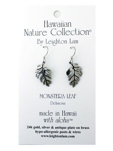 nCAWG[ sAX AM[Ή f AM[  Xe nCAG Cg sAX Xe