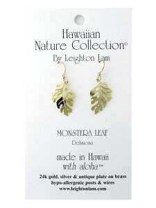 nCAWG[ sAX AM[Ή f AM[  Xe nCAG Cg sAX Xe