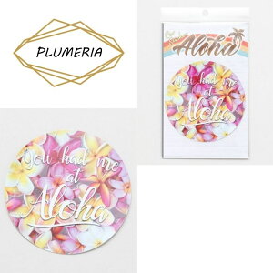 y Kahiko JqR z XebJ[ nC h UV