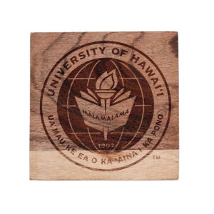 R[X^[ ؐ  킢 lp 10cm i` Ebh  nC ][g nCAG S Gu  C{[ Mtg v[g 蕨 CeA nCw