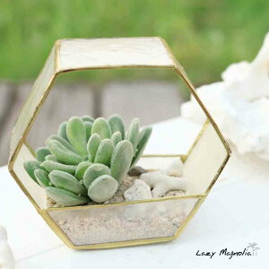 nMOv^[ VF vgz_[ X^hv^[ JsX JsXL JsXVF G Lk  ϗtA O[   CeA fBXvC nC n