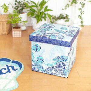 ܂肽 [ Xc[  y  x` TChe[u nC nCA [P[X ܂ z t^t ֎q  킢 s31cm XgD[ [ObY Ce