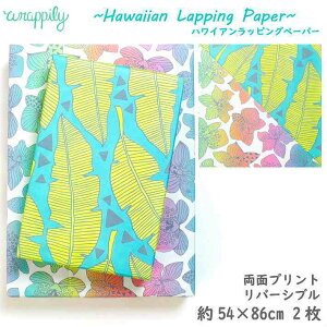 y Wrappily z bsOy[p[ nC fUCy[p[ Ntg y[p[  bsO  nCAG GR Đ A[g v[g Mtg CO 킢  {^j