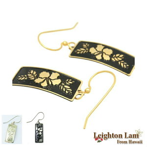 nCAWG[ sAX nCrXJX AM[Ή f AM[  fB[X nCAG Cg