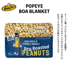 ブランケット アメリカン 毛布 タオルケットの人気商品 通販 価格比較 価格 Com