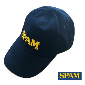 �X�q �L���b�v �A���J�W ���S 6�p�l�� CAP 6PANEL SPAM �R�b�g�� �L���b�v �t�F�X �L�����v �l�C�r�[ 10�� 20�� 30�� 40�� �A�����J�� �J�W���A�� ��ƃ��S �J���p�j�[