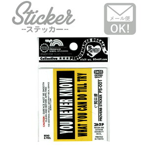 XebJ[ V[  AJ  JCC PS-001 X}z JX^}CY IWi RgU ͎