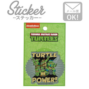 XebJ[   uh AEghA X}z jW ^[gY RETORO _CJbg TURTLE POWER TTS-007