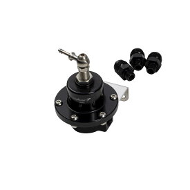【 Number7 】BILLET FUEL REGULATOR ビレット フューエル レギュレター Black Titanium Gray