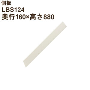 LB is160×880×20jLBS124