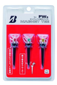 BRIDGESTONE(uaXg) St }OlbgeB[ FW GAGMGTF 2023Nf