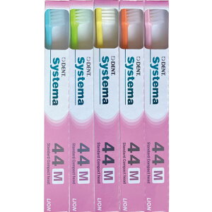 CI DENT . VXe} uV ×10{ 44M(RpNg ӂ)@{