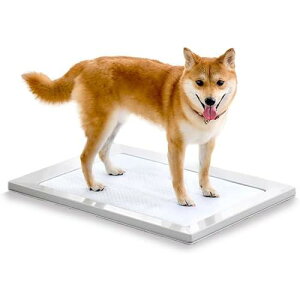 �A�C���X�I�[���} �� �g�C�� �X�N�G�A�h�b�O�g���[ ���ނ��� �}�O�l�b�g ���M�����[ �z���C�g ���􂢉�