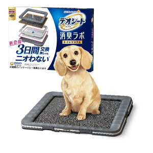 y3ԌłjIȂzfIV[gL{{̃Zbg [2TԕtB^[E}bgt] pgC{ Ch