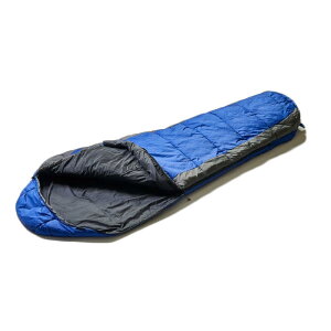 �C�X�J(Isuka) (ISUKA) �Q�� �p�g���[���V���[�g ���C�����u���[ [�Œ�g�p���x2�x]