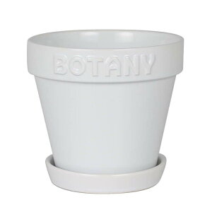 _g(Dulton) {^j[ |bg 6 zCg G{XSƃA[XJ[ōʂAؔ BOTANY 6 16.5cm a18cm G21-0395L/WT