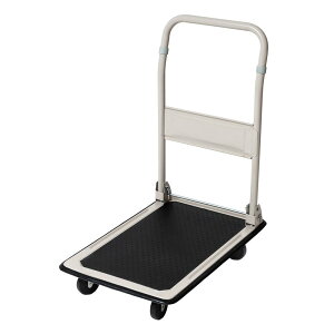 R[iIWi ƒp~j60 PH1005