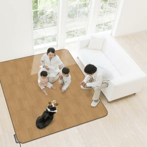 aOrA zbgJ[ybgJo[ƂĂg!!h~ BR(ؖ) AHW-1002 HH 185cm×185cm 2p uE