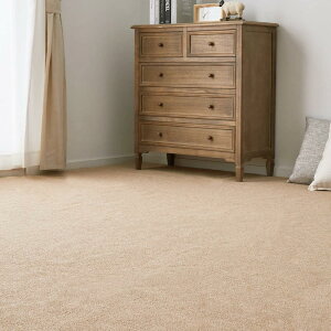  ~l߃J[ybg x[W ]ˊ6 u[Gv h R hL n Ɩp X { zbgΉ {