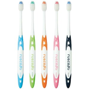 ���V�F�� B-20M�s�Z�� / �ӂ� / 20�{����