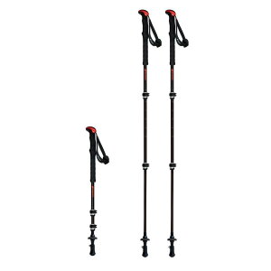 FAST�|130 �J�[�{��W / �u���b�N