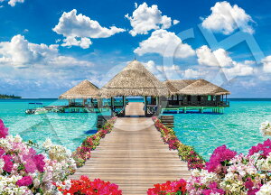 �G�|�b�N�� 500�s�[�X �W�O�\�[�p�Y�� �C�O���i ���O�W���A���[�^�C���|�����f�B�u �i38×53cm�j 06-308s �̂�t�� �w���t�� �_�����t�� EPOCH