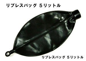 uXobO@( 5bg jċz ċz  uX KX}XN ToQ[