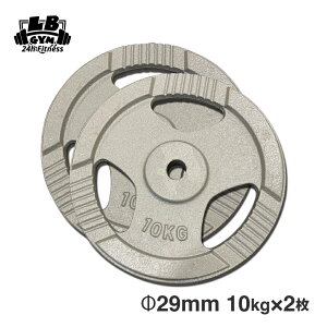 Φ 29mm 3グリップ アイアン プレート Bタイプ 10kg × 2枚 セット 筋トレ 筋肉 ダンベル ベンチプレス 大胸筋 エクササイズ プレート バーベル ウエイトトレーニング 鉄アレイ トレーニングジム