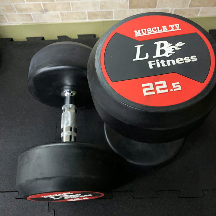 楽天市場】ラバー ダンベル 22.5kg × 2個 セット バーベル メンズ 