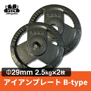 Φ29mm 3グリップ アイアン プレート Bタイプ 2.5kg × 2枚 セット 筋トレ 筋肉 ダンベル ベンチプレス 大胸筋 エクササイズ プレート バーベル ウエイトトレーニング 鉄アレイ トレーニングジム