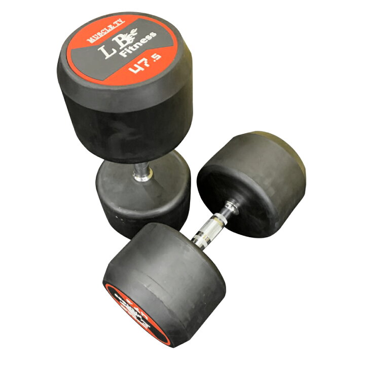 ラバーダンベル47.5kg 2個