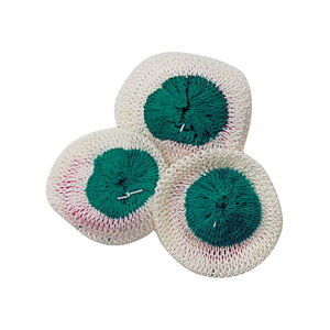 Xm[s[Nisnow peakj }g S 3Zbg GP-001 ^XyA ANZT