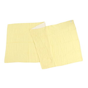 Xm[s[Nisnow peakj \tgK[[V[ CgCG[ UG-581-YL