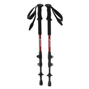 �V�i�m�iSINANO�j�i�����Y�A���f�B�[�X�j�g���b�L���O�|�[�� 24 �����O�g���C�� 115 RD �X�g�b�N �o�R