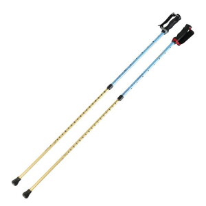 VimiSINANOjiYAfB[Xj񂵂2{ EH[LO|[ XebL AEghA  