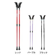 キザキ（KIZAKI）（メンズ、レディース）ウォーキングポール 歩ミング 2段伸縮 APBC-202A