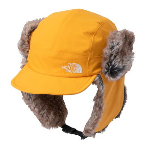 �y�ő�10��pt���I�I�v�G���g���[��10/20-10/31�z�U�E�m�[�X�E�t�F�C�X�iTHE NORTH FACE�j�i�����Y�A���f�B�[�X�j�X�q �L���b�v �g���b�L���O �o�R �t�����e�B�A�L���b�v NN42537 SG