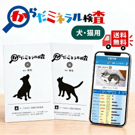 【ら・べるびぃ予防医学研究所】からだミネラル検査(対象：犬、猫) 29項目の分析 必須ミネラル 有害金属 愛犬ミネラル検査 愛猫ミネラル検査 水銀 ヒ素 鉛 カドミウム アルミニウム