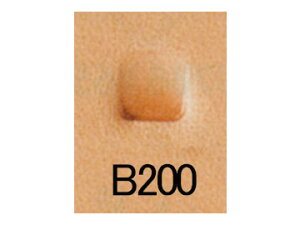 xx B200 6mmy[֑Iz [Ntg] U[Ntg iA`Zj/Ntg