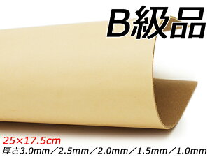 yB؂vzEU_uobgk n 25×17.5cm 1.0mm/1.5mm/2.0mm/2.5mm/3.0mm 1y[֑Iz [U[Ntgς] U[Ntg؂viJbgU[j kviԁj