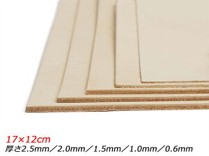 y؂vzkX[X n 17×12cm 2.5mm/2.0mm/1.5mm/1.0mm/0.6mm 1y[֑Iz [U[Ntgς] U[Ntg؂viJbgU[j Ԑ؂vikj