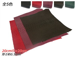 y؂vzpC\\tg}bgiobNJbgj //C/jR`/LvX 20cm×20cm 0.5mm 1yz y[֑Iz [ς] U[Ntg؂viJbgU[