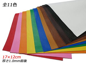 y؂vzh_C S11F 17×12cm 1.0mmO 1y[֑Iz [U[Ntgς] U[Ntg؂viJbgU[j Ԑ؂viN[j