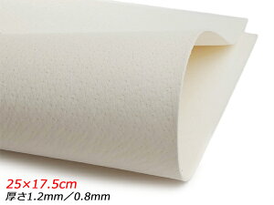 y؂vzsbO  25×17.5cm 1.2mm/0.8mm 1y[֑Iz [ς] U[Ntg؂viJbgU[j ؂vi؊vj
